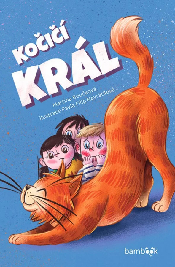 Obálka knihy Kočičí král