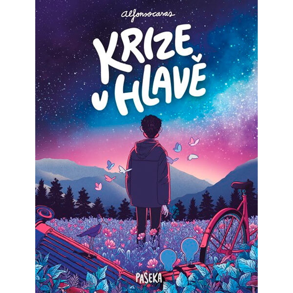 Obálka knihy Krize v hlavě