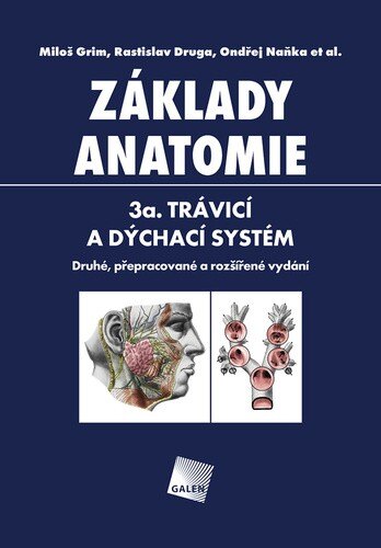 Obálka knihy Základy anatomie