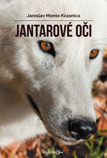 Obálka knihy Jantarové oči