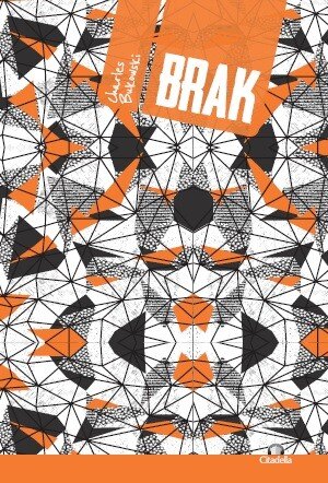 Obálka knihy Brak