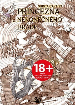 Obálka knihy Princezna z Nekonečného hradu