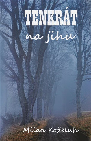 Obálka knihy Tenkrát na jihu