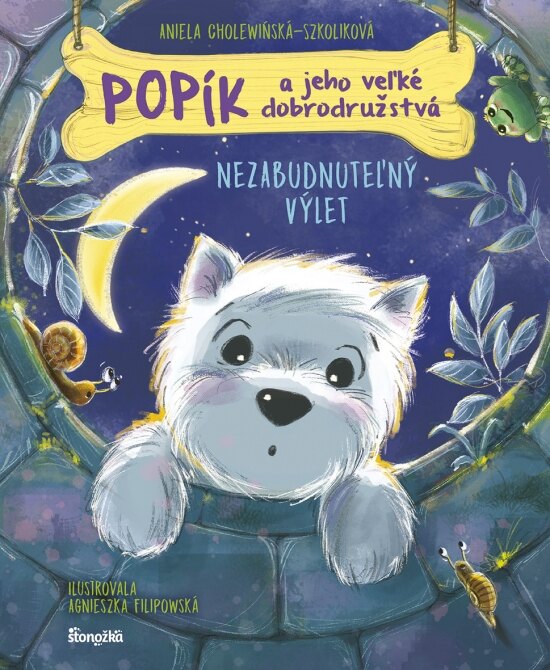 Obálka knihy Popík a jeho veľké dobrodružstvá 6: Nezabudnuteľný výlet