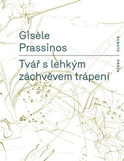 Obálka knihy Tvář s lehkým záchvěvem trápení