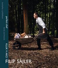 Obálka knihy Filip Sajler: Kluk v akci