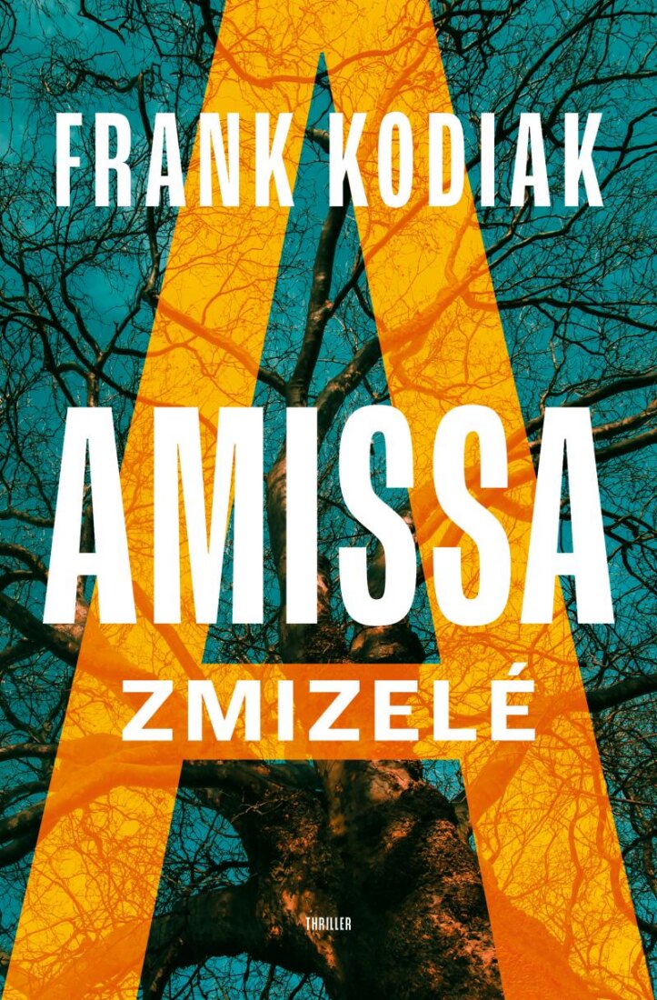 Obálka knihy Amissa: Zmizelé