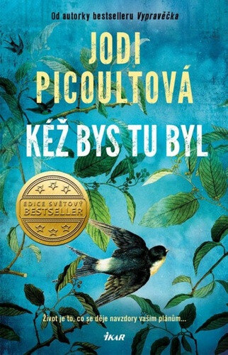 Obálka knihy Kéž bys tu byl