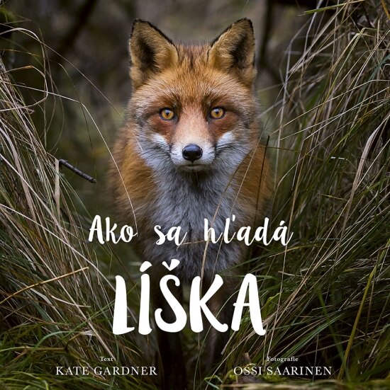 Obálka knihy Ako sa hľadá líška