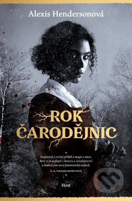 Obálka knihy Rok čarodějnic