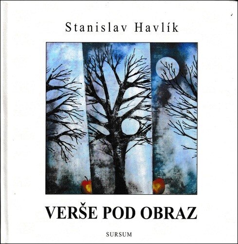 Obálka knihy Verše pod obraz