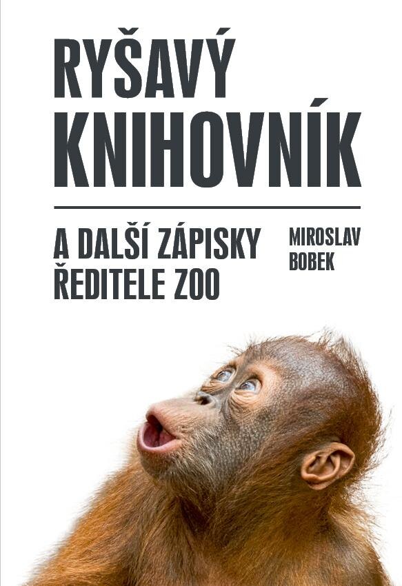 Obálka knihy Ryšavý knihovník a další zápisky ředitele zoo