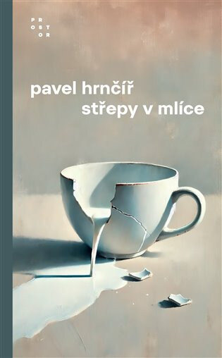 Obálka knihy Střepy v mlíce