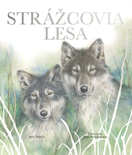 Obálka knihy Strážcovia lesa