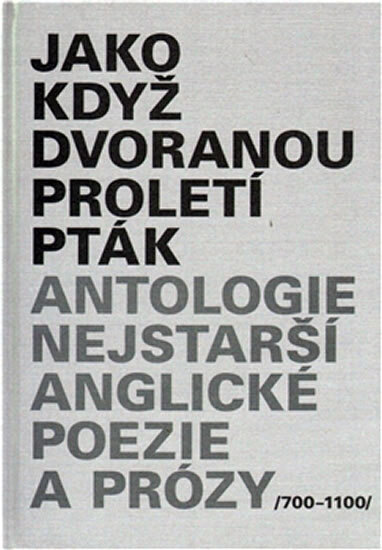 Obálka knihy Jako když dvoranou proletí pták