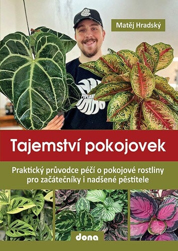 Obálka knihy Tajemství pokojovek
