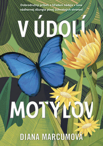 Obálka knihy V údolí motýľov