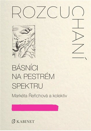 Obálka knihy Rozcuchaní