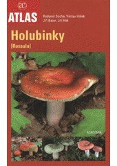 Obálka knihy Holubinky