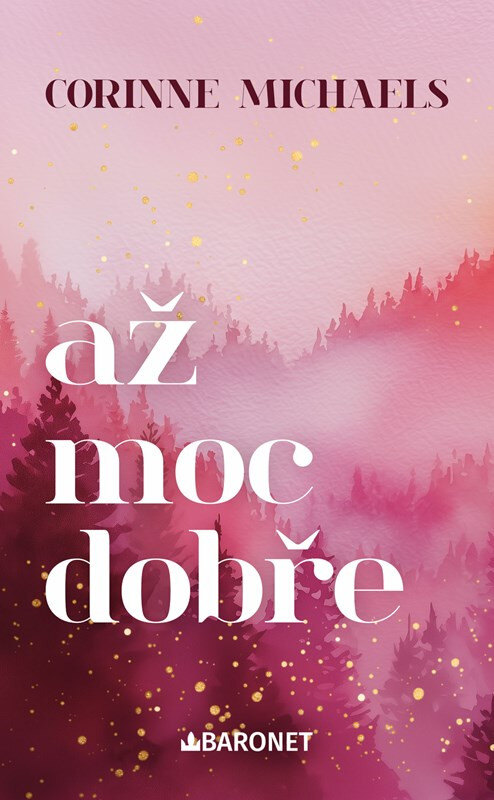 Obálka knihy Až moc dobře