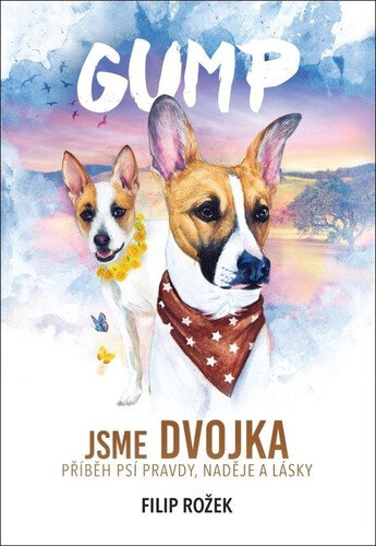Obálka knihy Gump Jsme dvojka