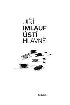 Obálka knihy Ústí hlavně