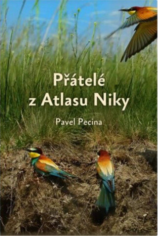 Obálka knihy Přátelé z Atlasu Niky