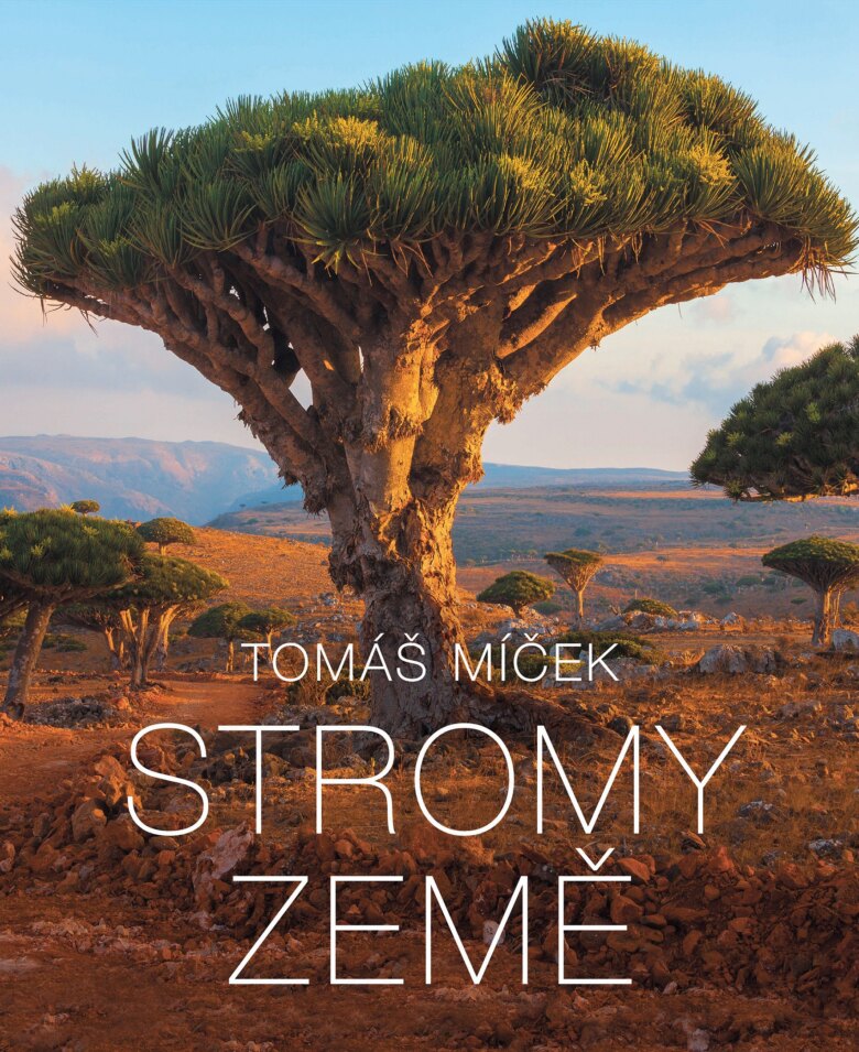 Obálka knihy Stromy Země