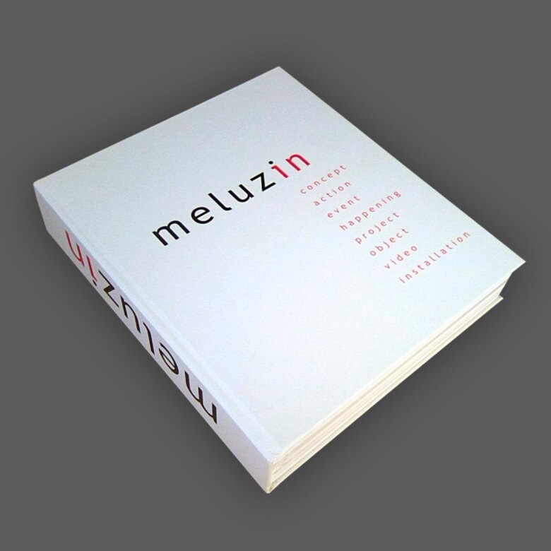 Obálka knihy Meluzin