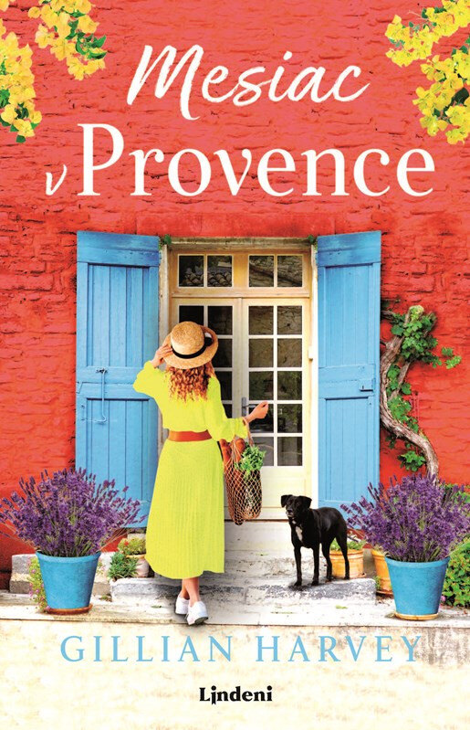 Obálka knihy Mesiac v Provence