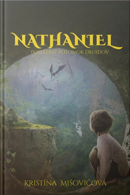 Obálka knihy Nathaniel