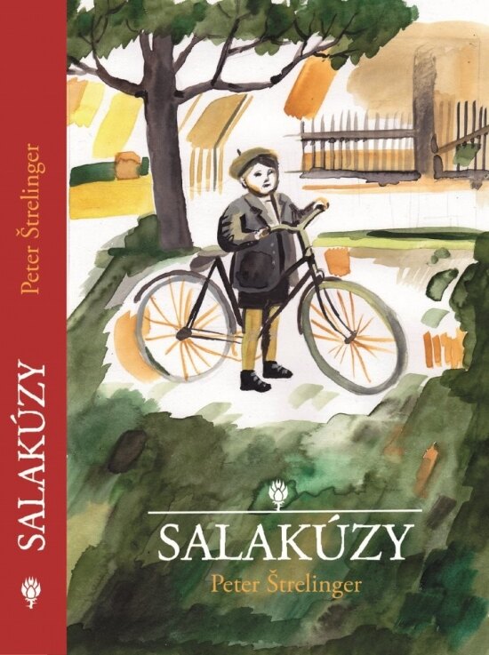 Obálka knihy Salakúzy