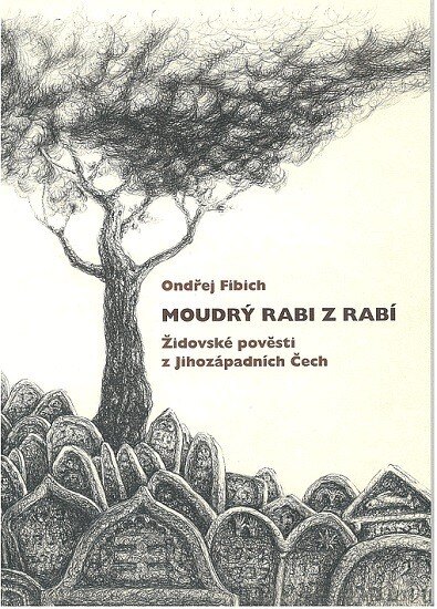 Obálka knihy Moudrý rabi z Rabí
