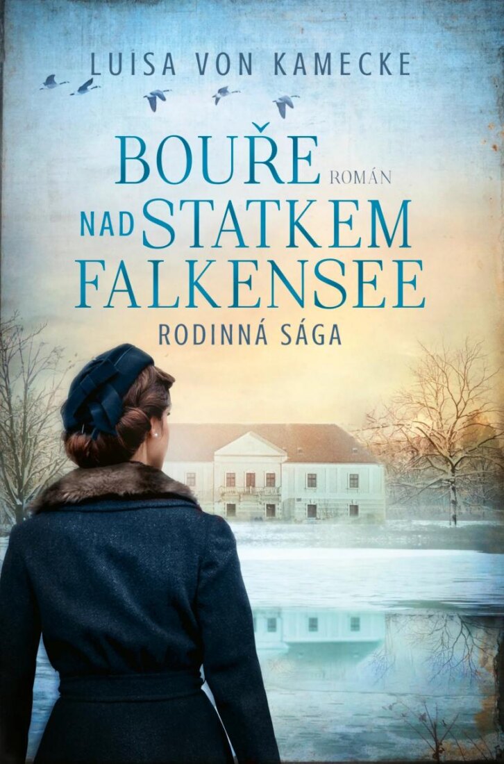 Obálka knihy Bouře nad statkem Falkensee