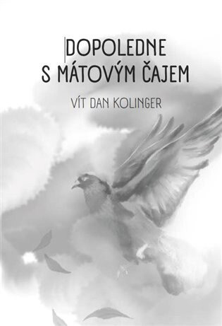 Obálka knihy Dopoledne s mátovým čajem