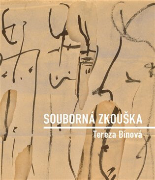 Obálka knihy Souborná zkouška