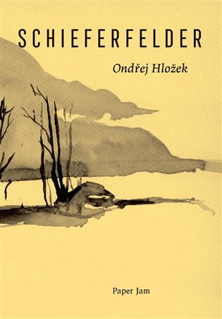 Obálka knihy Schieferfelder