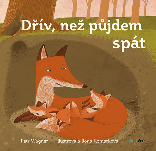 Obálka knihy Dřív, než půjdem spát