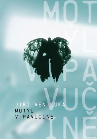 Obálka knihy Motýl v pavučině