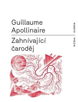 Obálka knihy Zahnívající čaroděj