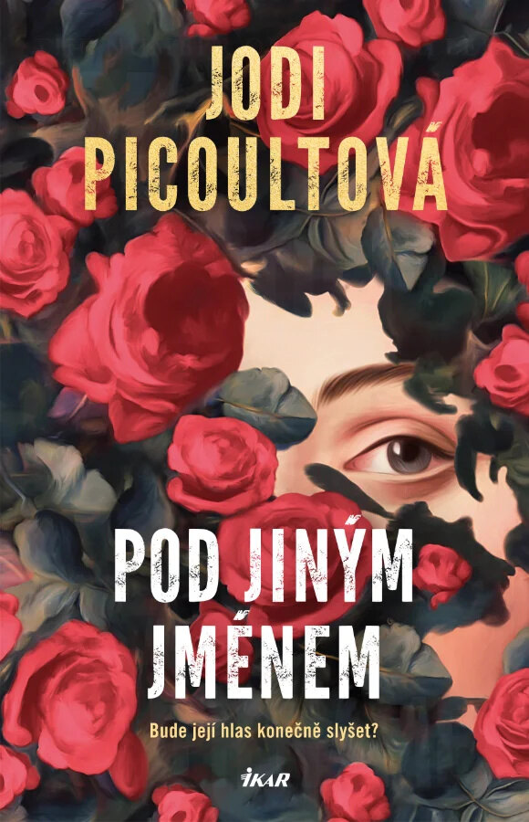 Obálka knihy Pod jiným jménem