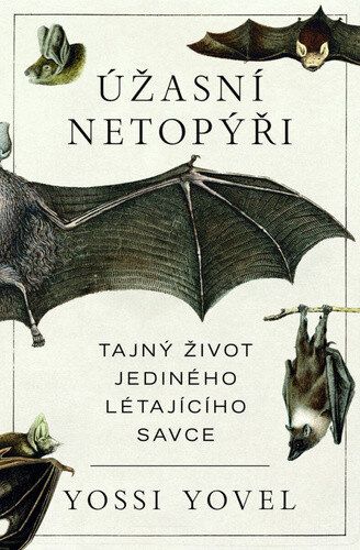 Obálka knihy Úžasní netopýři