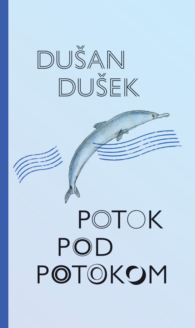 Obálka knihy Potok pod potokom
