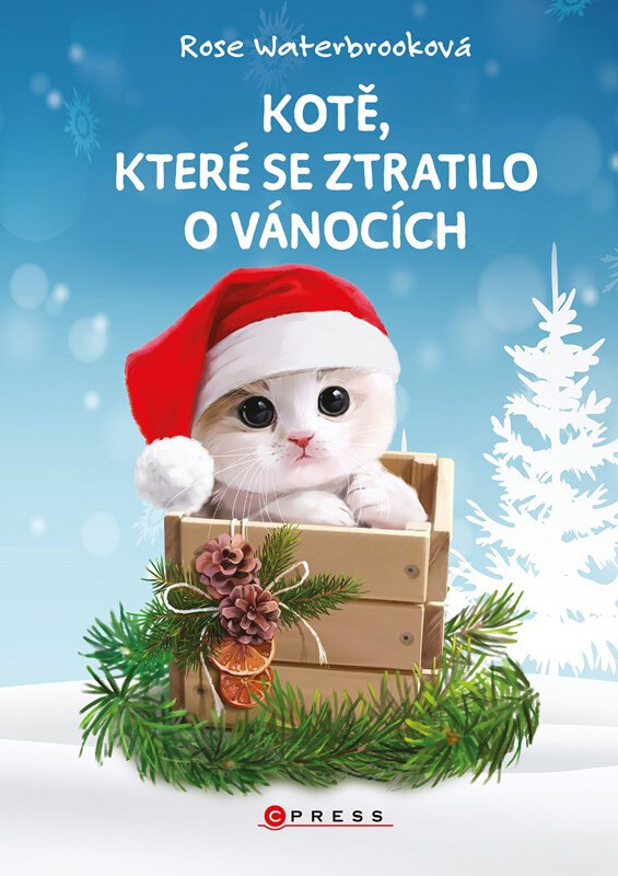 Obálka knihy Kotě, které se ztratilo o Vánocích