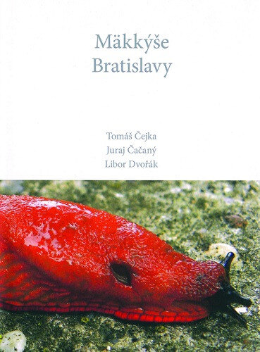 Obálka knihy Mäkkýše Bratislavy
