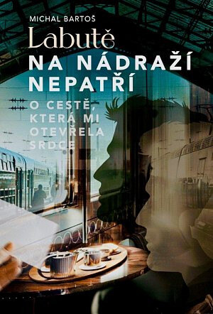 Obálka knihy Labutě na nádraží nepatří