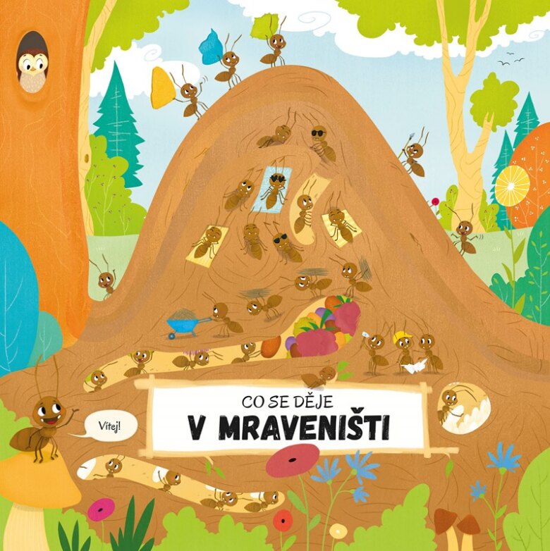 Obálka knihy Co se děje v mraveništi