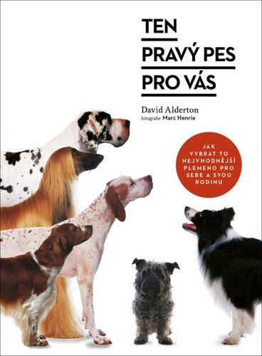 Obálka knihy Ten pravý pes pro vás