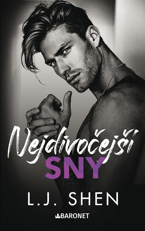 Obálka knihy Nejdivočejší sny