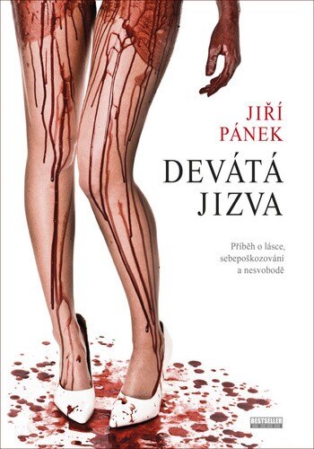 Obálka knihy Devátá jizva